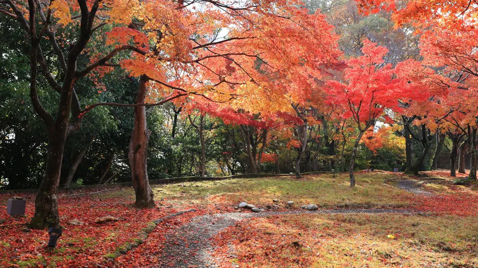 Luxury Mountain Retreat Kaze no Mori