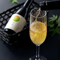 スパークリング梅酒【彩杜】