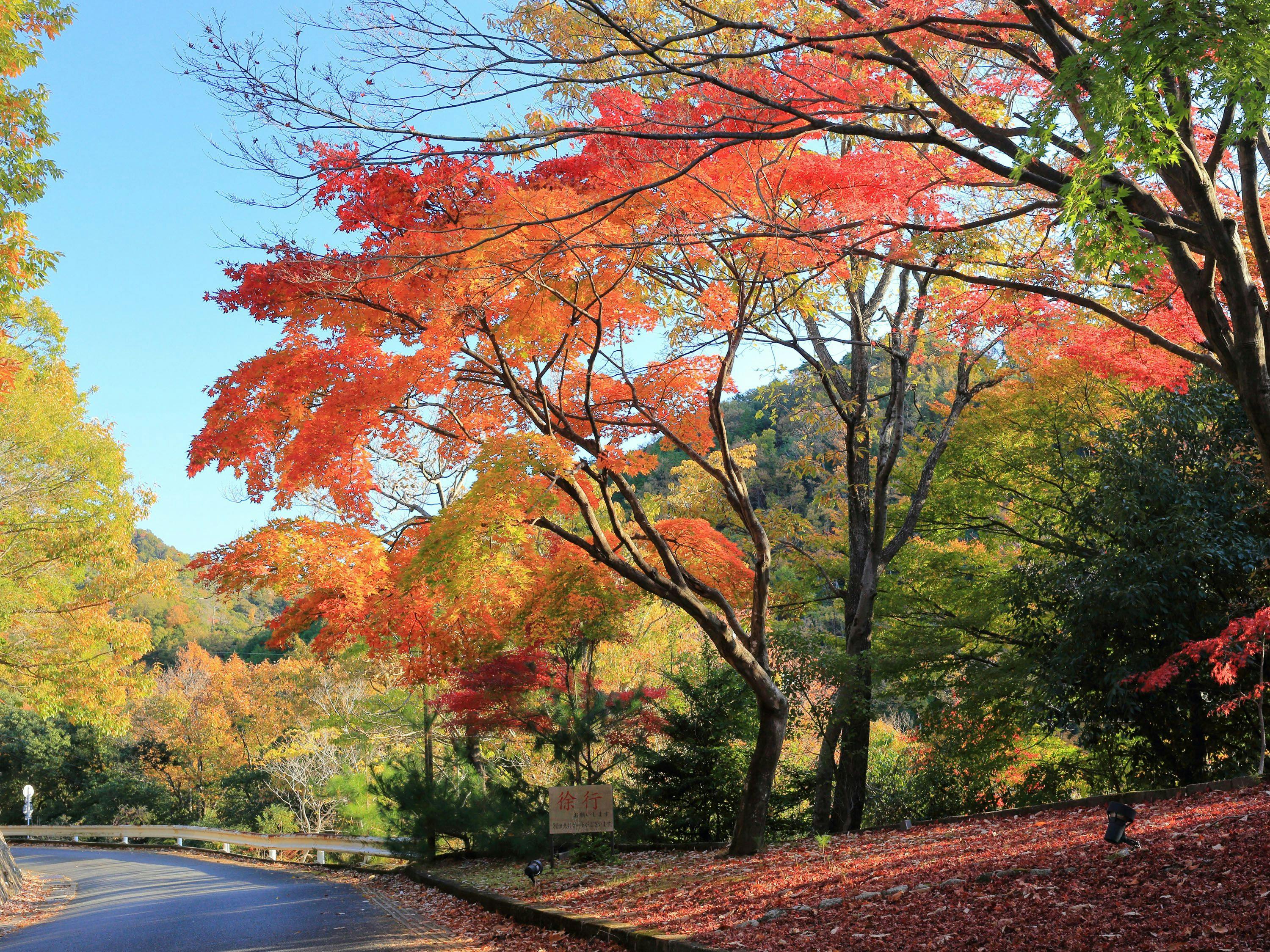 山荘　風の杜