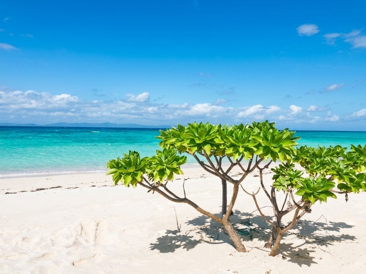 セブンスターズリゾート石垣（The Seven Stars Resort ISHIGAKI）