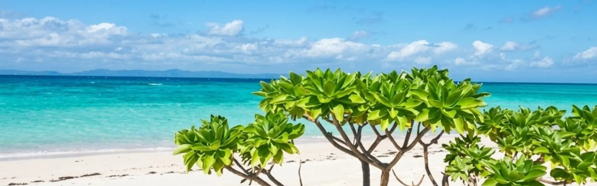 セブンスターズリゾート石垣(The Seven Stars Resort ISHIGAKI)