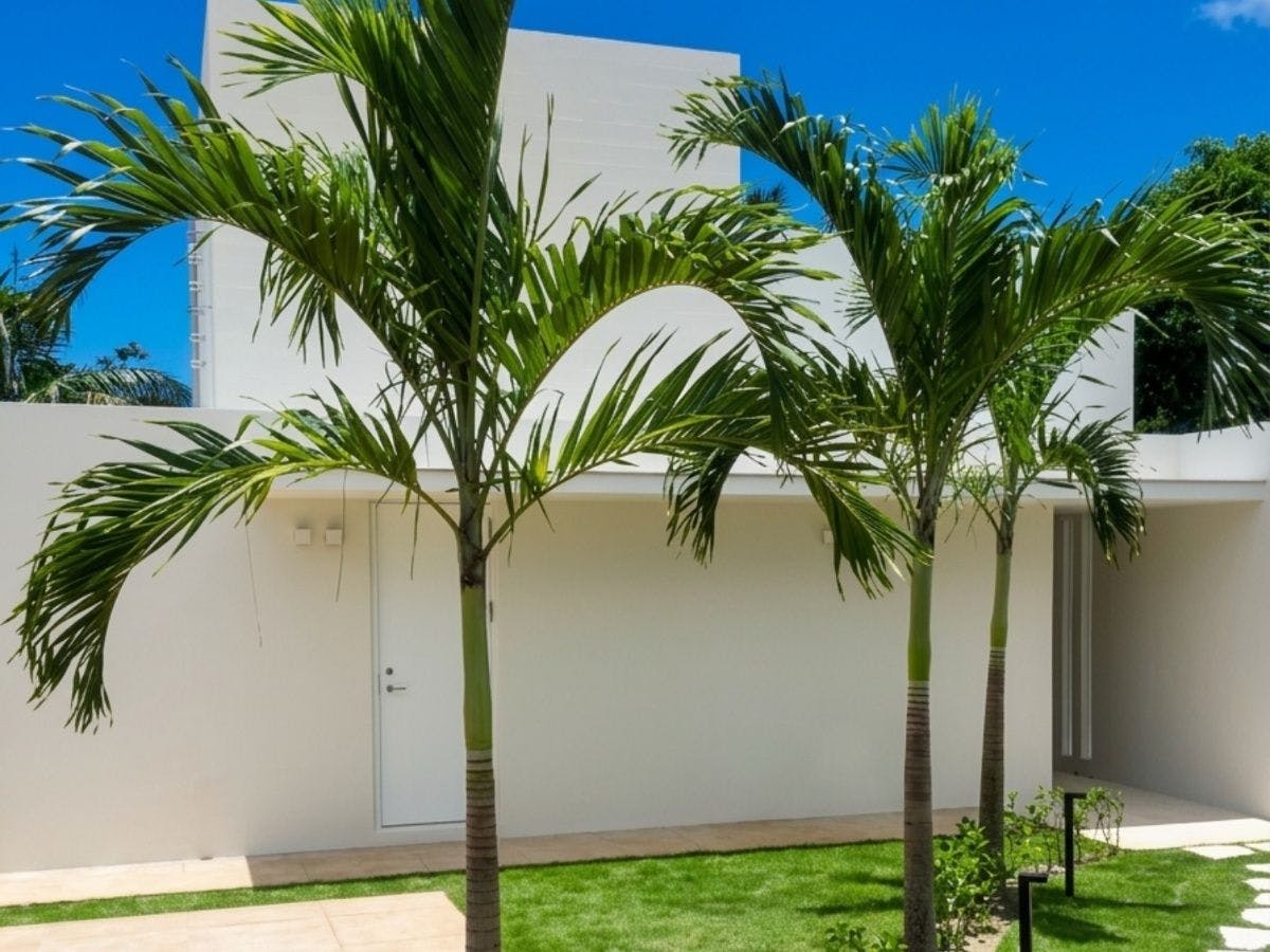 セブンスターズリゾート石垣（The Seven Stars Resort ISHIGAKI）