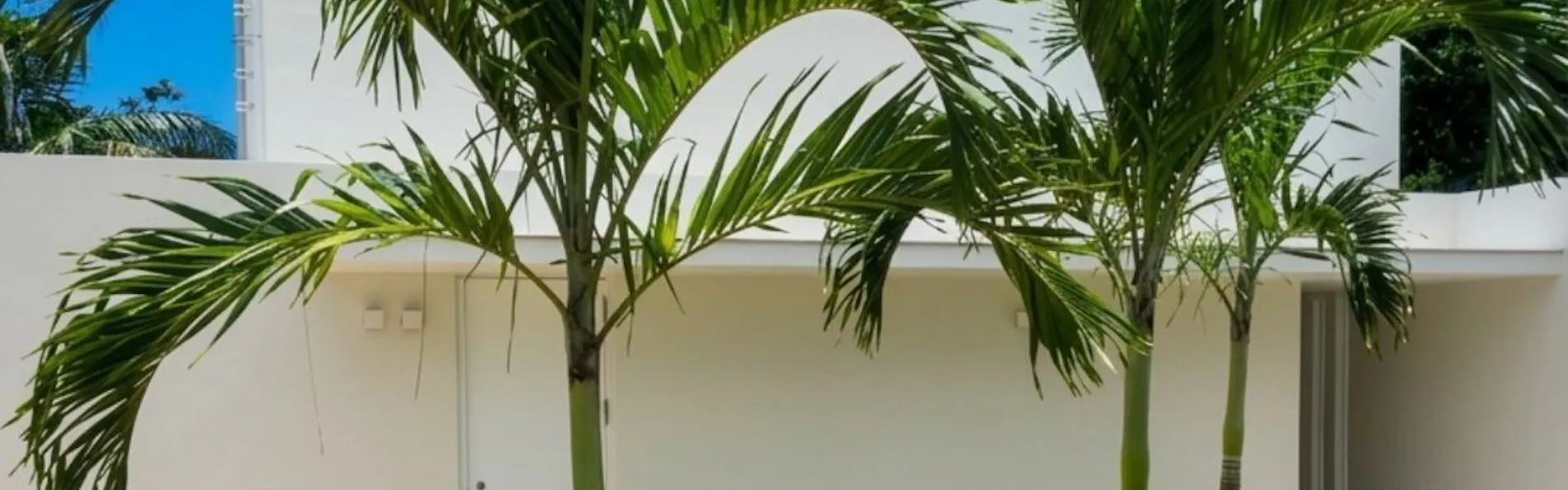 セブンスターズリゾート石垣(The Seven Stars Resort ISHIGAKI)