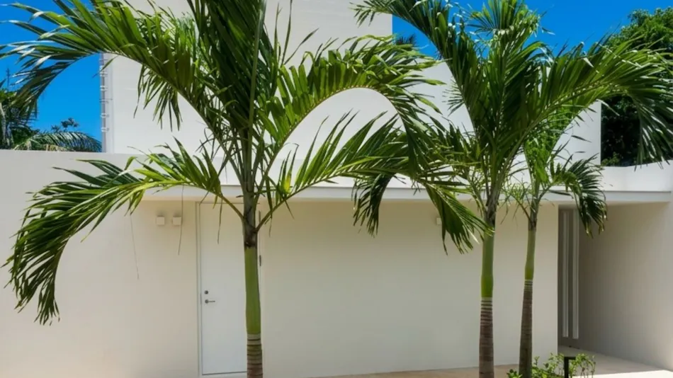The Seven Stars Resort ISHIGAKI