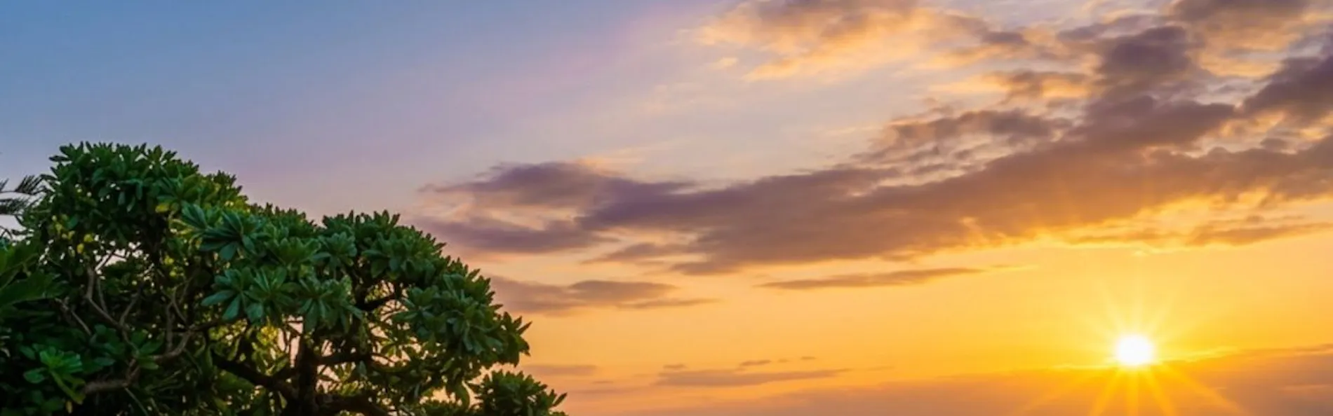 セブンスターズリゾート石垣(The Seven Stars Resort ISHIGAKI)