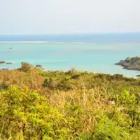 วิวทิวทัศน์จากจุดชมวิวทามาโทริซากิ