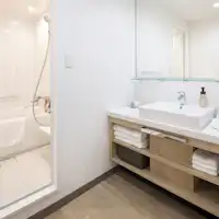 Kamar mandi (Deluxe Triple)