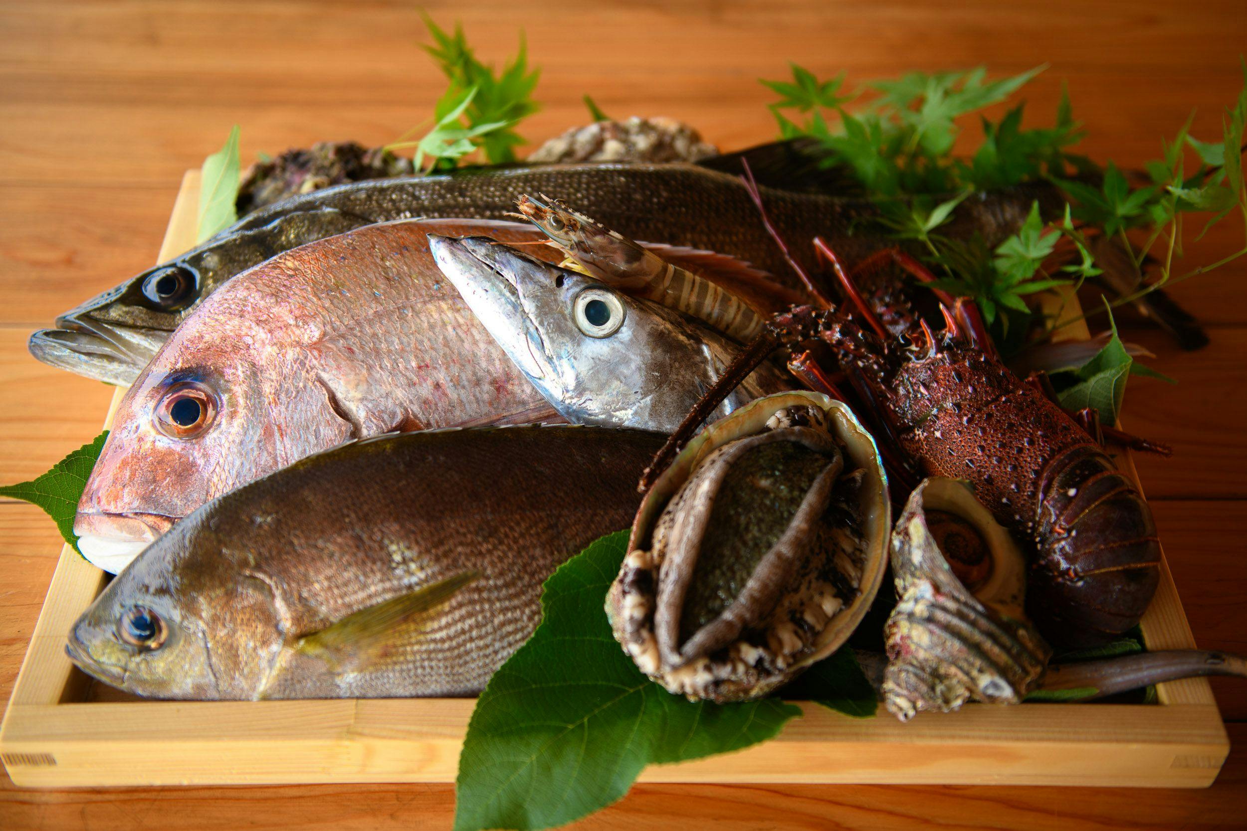 ตัวอย่างวัตถุดิบอาหารเย็น (ฤดูร้อน)