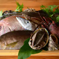 ตัวอย่างวัตถุดิบอาหารเย็น (ฤดูร้อน)