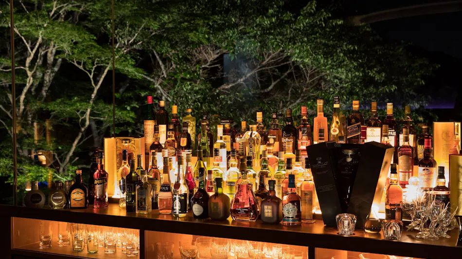 Bar Hotel Hakone Kazan