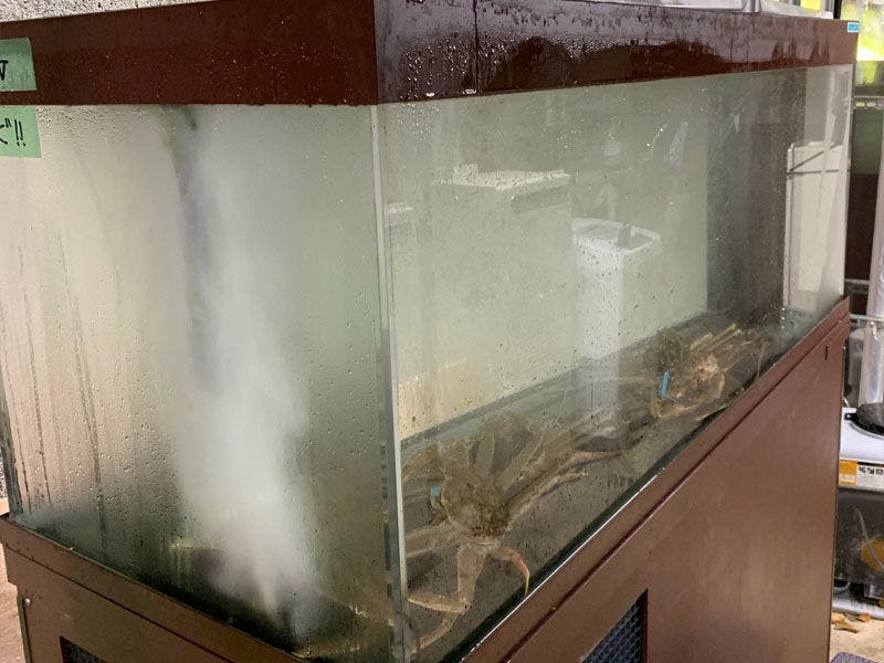自前の水槽から活蟹を提供いたしております