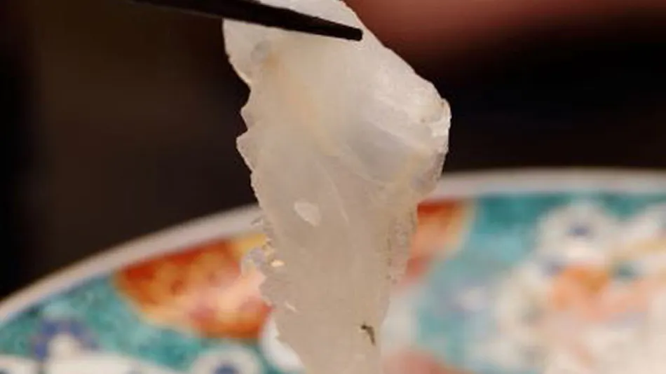 Kanazawa Yuwaku Onsen Kokorian