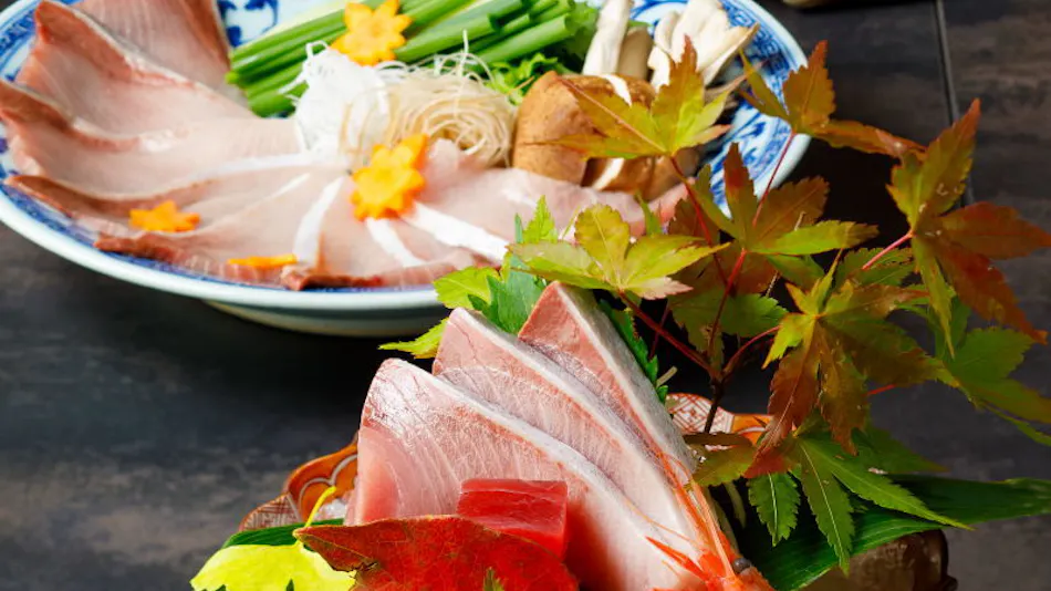 Kanazawa Yuwaku Onsen Kokorian