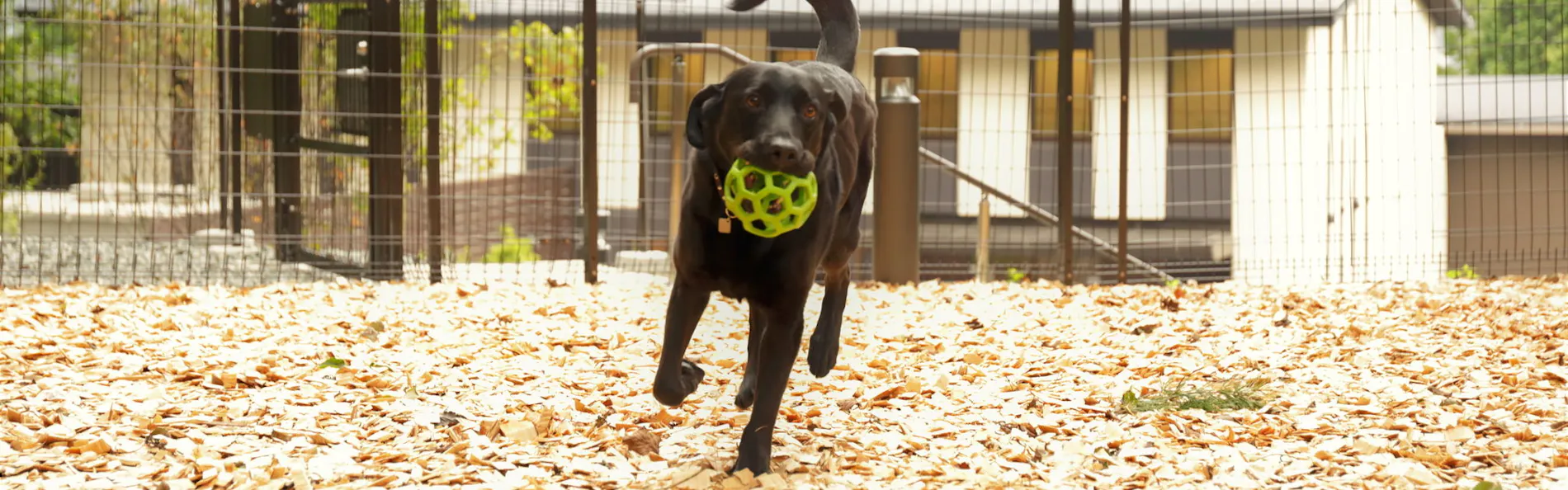 レジーナリゾート箱根仙石原
