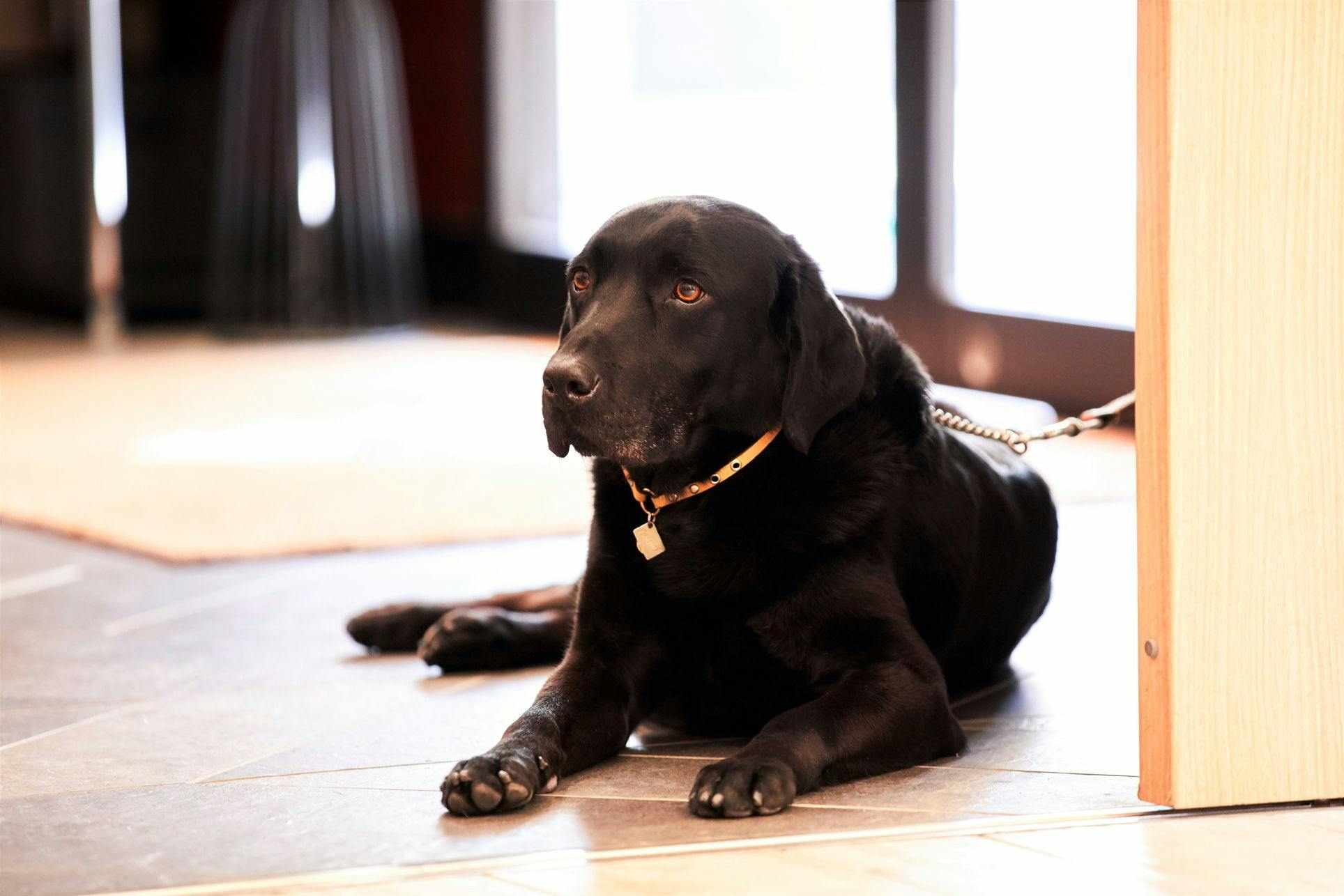 レジーナリゾート箱根仙石原