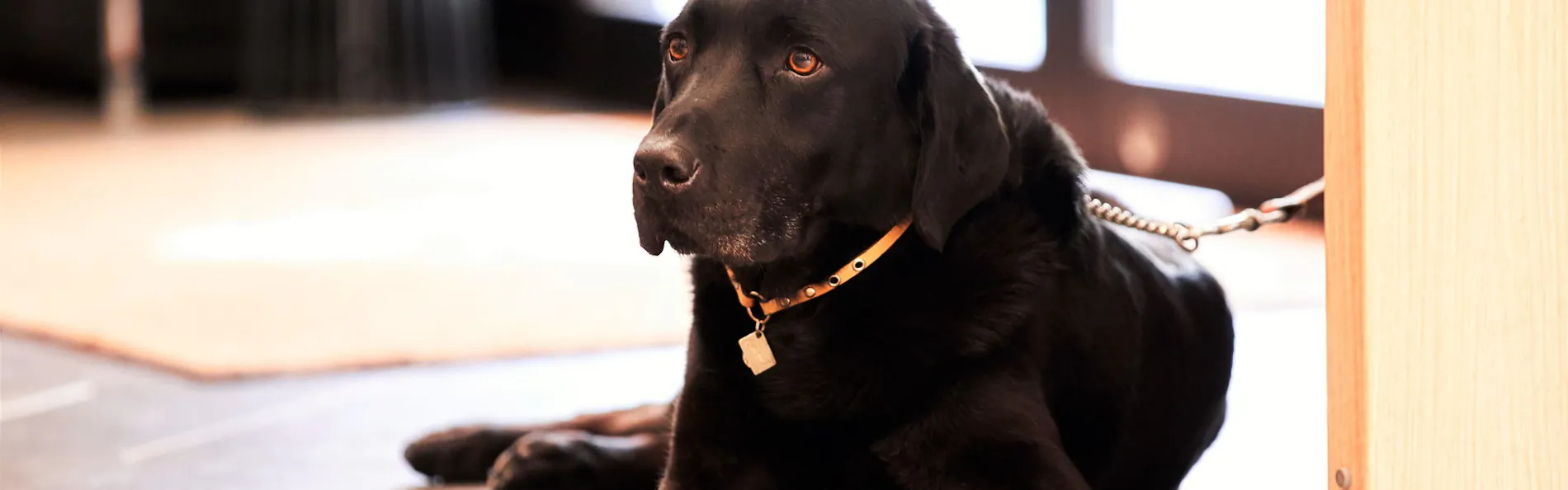 レジーナリゾート箱根仙石原