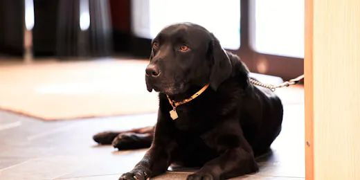 レジーナリゾート箱根仙石原