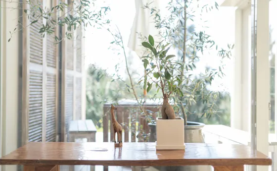 Luna e Sole - ดวงจันทร์และดวงอาทิตย์ -