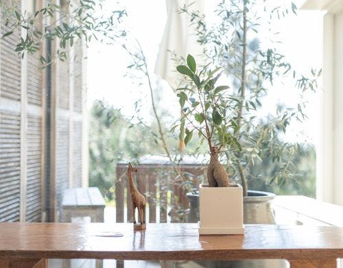 Luna e Sole ルナソーレ‐月と太陽‐