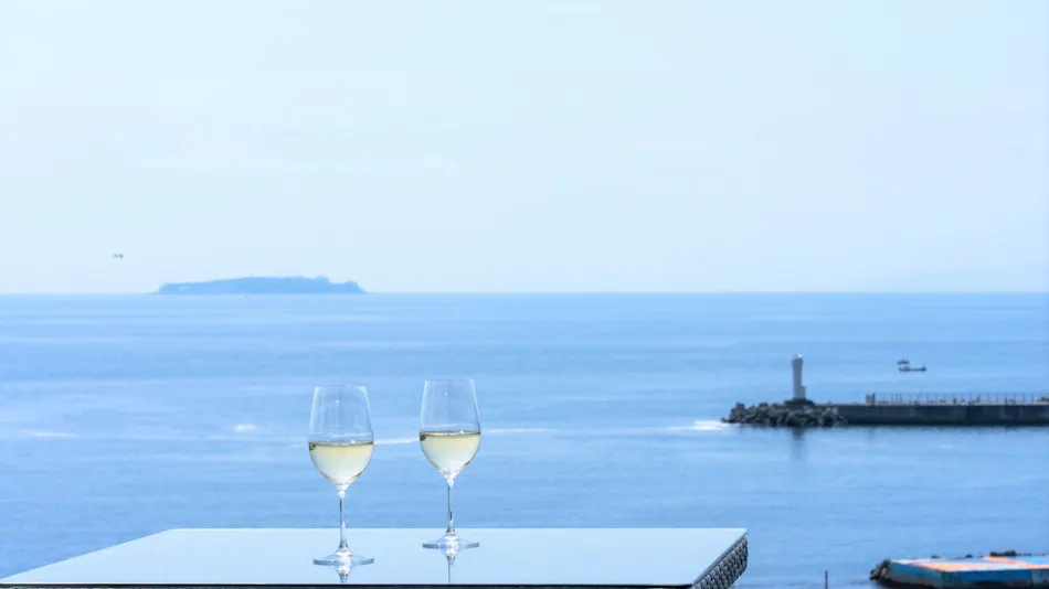 Pearl Star Hotel Atami