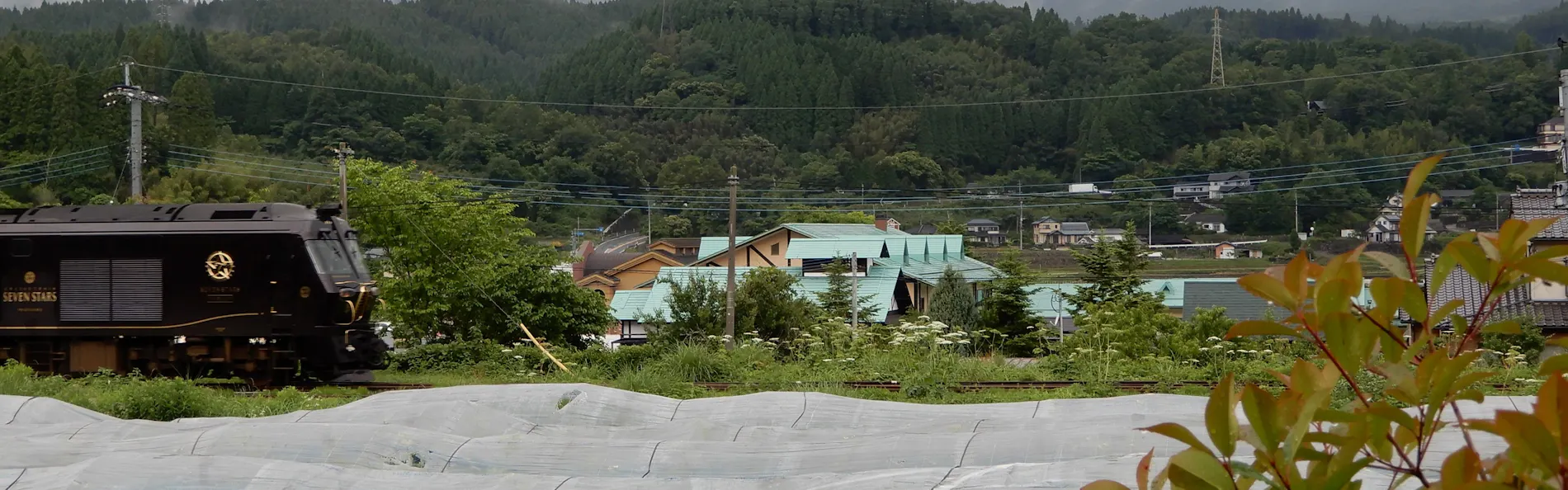 由布院 蔓蕩蒼-Matousou-