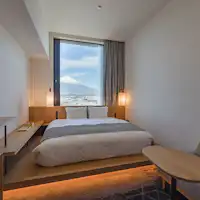 후지 뷰 더블룸