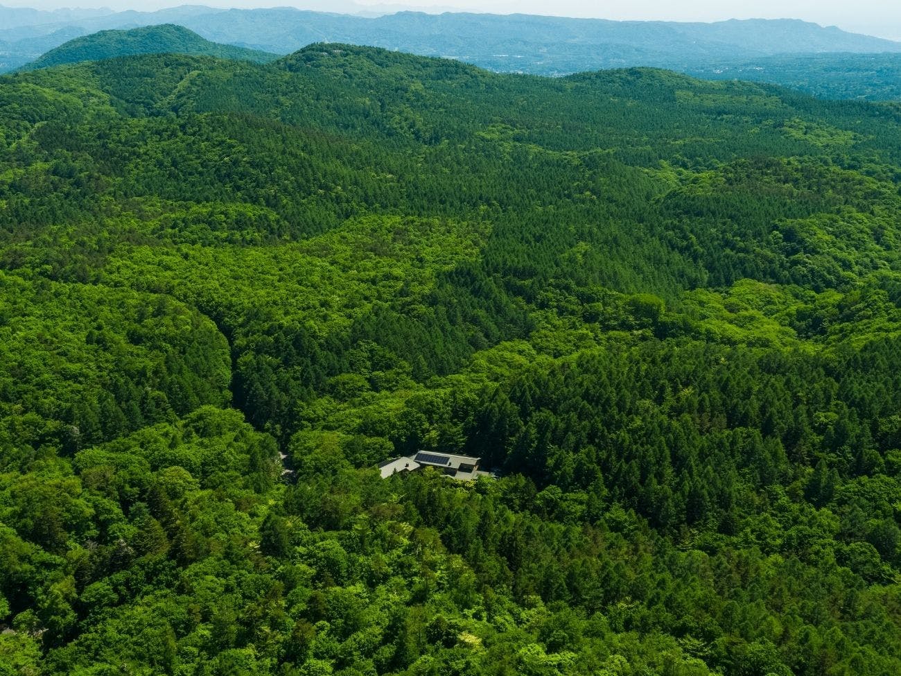 Hotel surrounded by the majestic nature of the national park