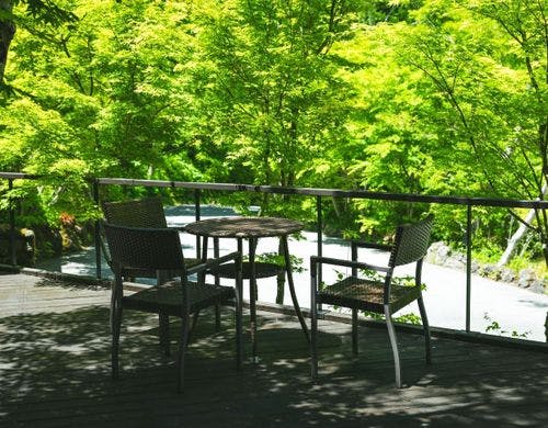 初夏、木漏れ日のコーヒータイムは格別