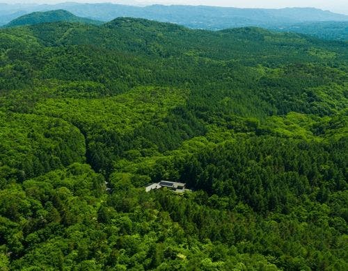 国立公園の大自然に囲まれたホテル