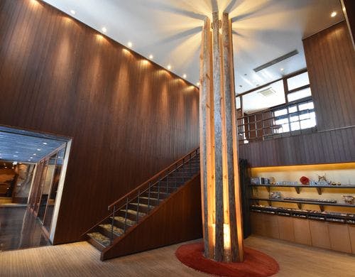 アンシェントホテルのシンボルツリー