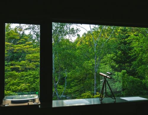 ライブラリーからも豊かな自然がのぞめる