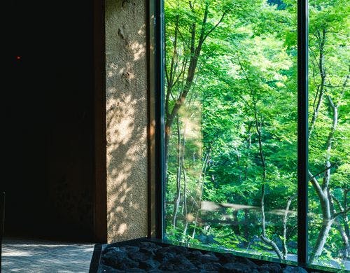 木漏れ日のエントランス