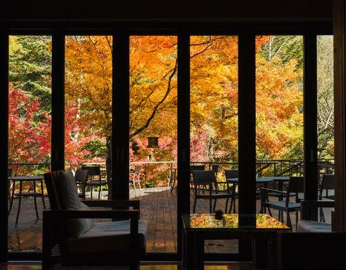 鮮やかな紅葉が一面に広がる