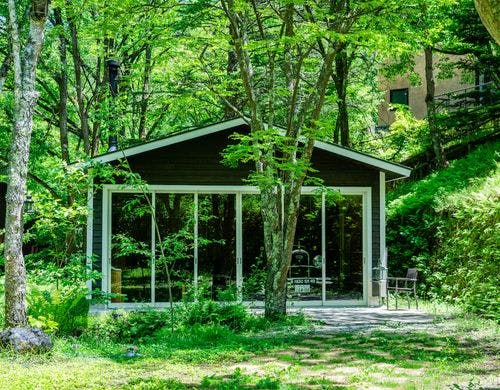 自然の芸術は息をのむ美しさ