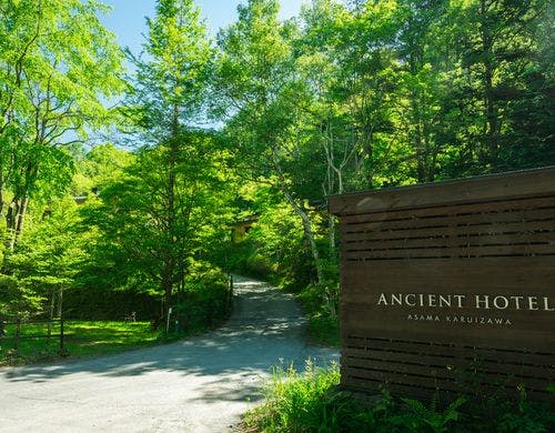 手付かずの大自然が身近に感じられる