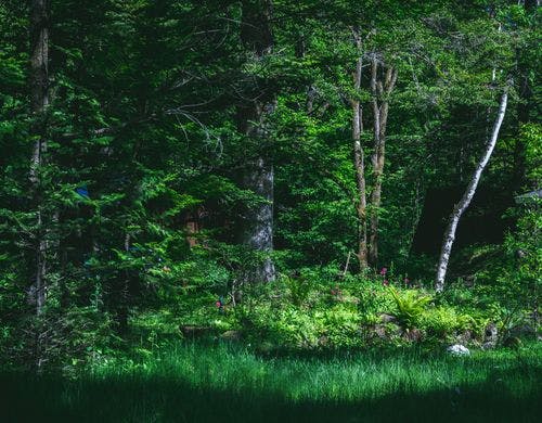 影が作り出す景色も味わい深い