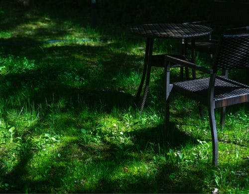 胸いっぱいに緑の香りを吸い込む