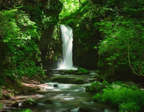 ホテルから徒歩15分で行ける竜返しの滝