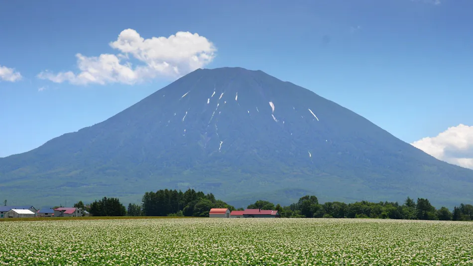 Hinode Hills Niseko Village Curio Collection by Hilton