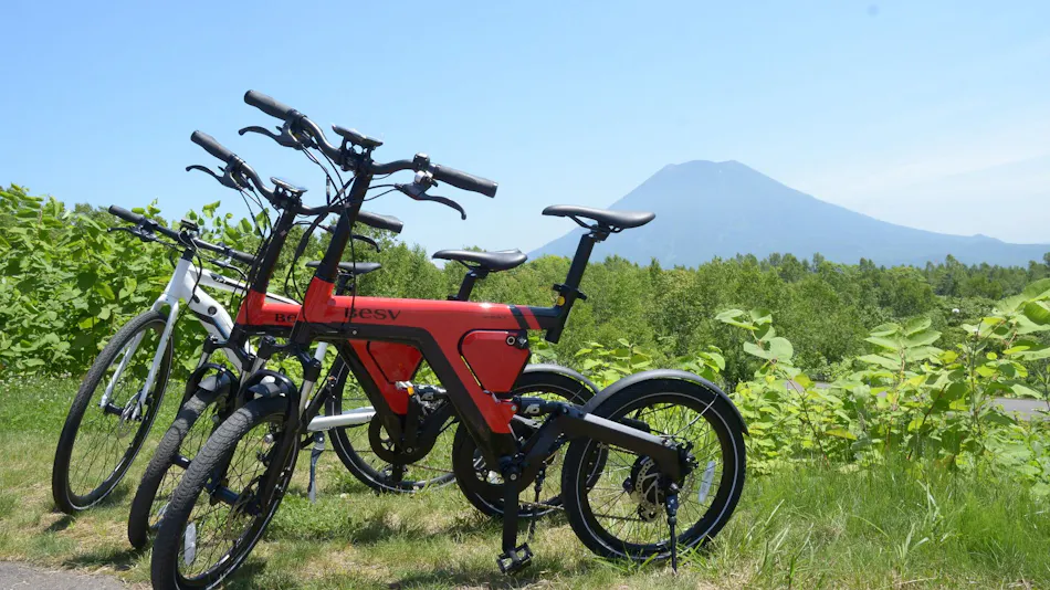 Hinode Hills Niseko Village Curio Collection by Hilton