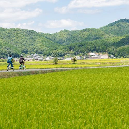 関西の宿で 田園風景 をご紹介 最上のひとときをどうぞ 一休 Com 関西の宿で 田園風景 をご紹介 最上のひとときをどうぞ 一休 Com