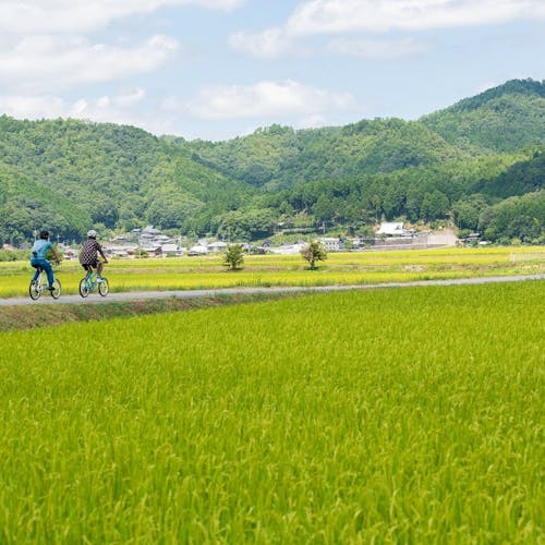 関西の宿で 田園風景 をご紹介 最上のひとときをどうぞ 一休 Com