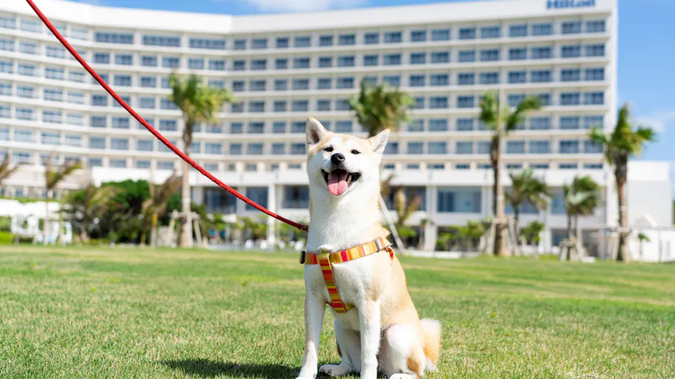Hilton Okinawa Sesoko Resort