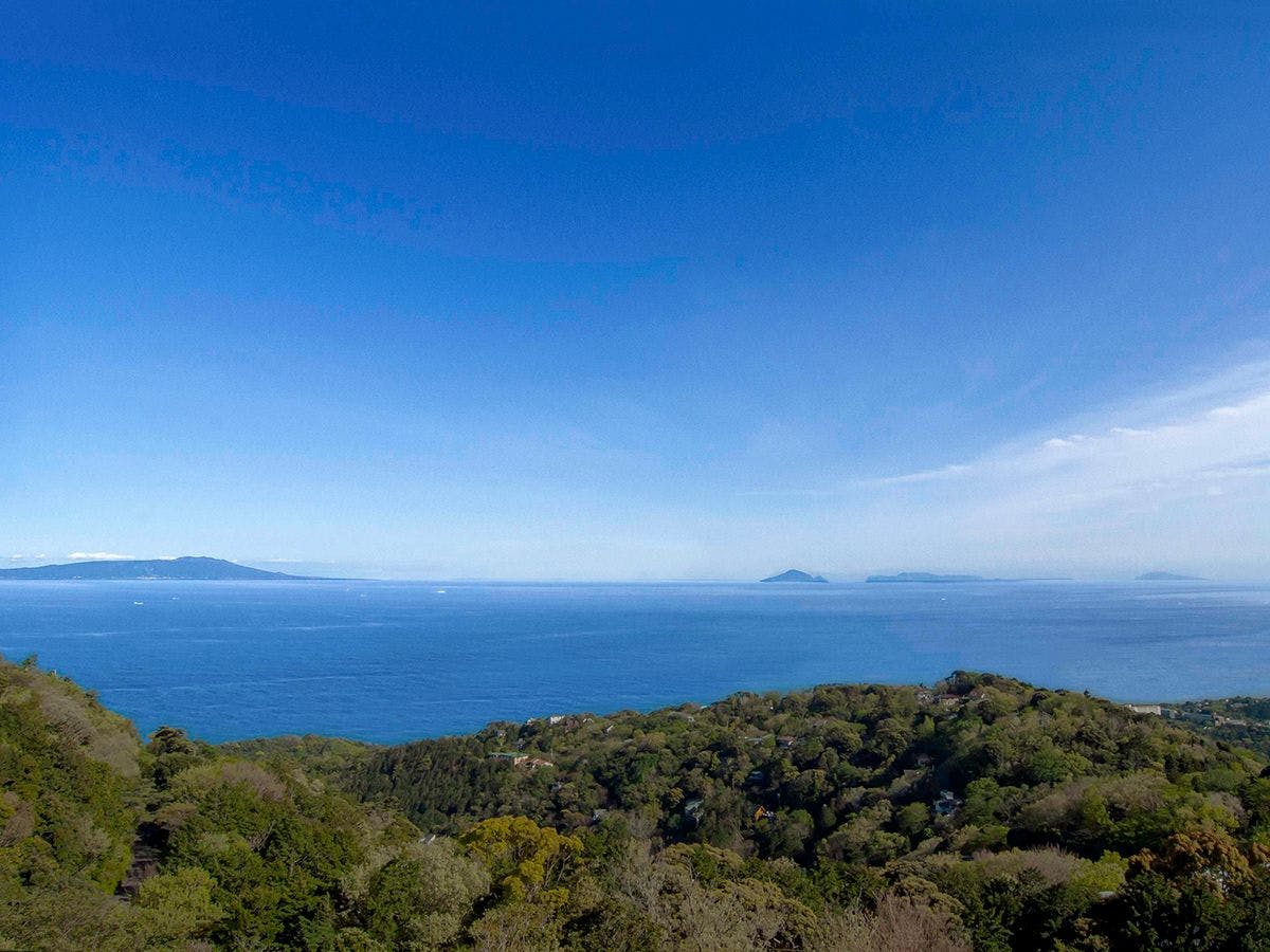 伊豆ホテル リゾート＆スパ