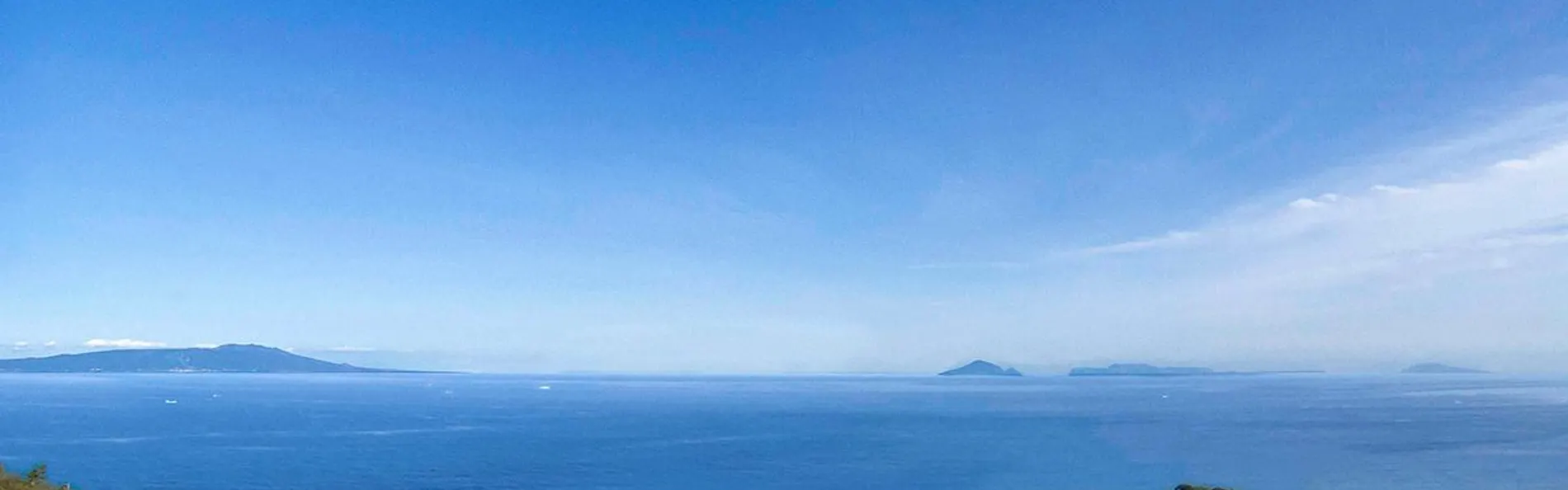 伊豆ホテル リゾート&スパ