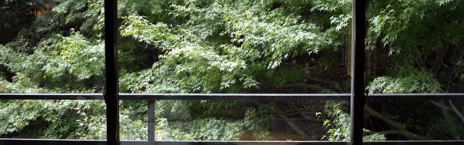 御宿瑞鷹