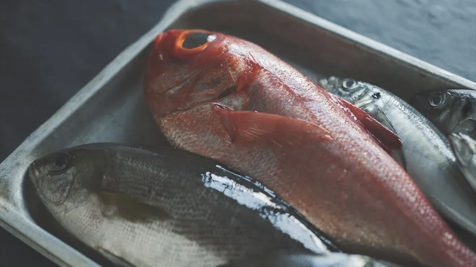 SOKI ATAMI