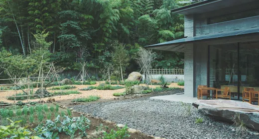 SOKI ATAMI
