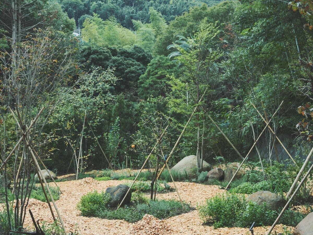 SOKI ATAMI