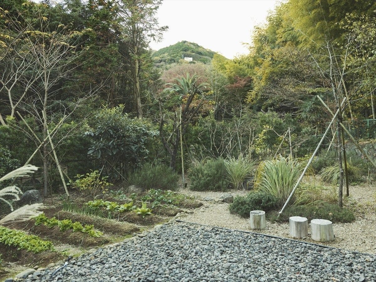 SOKI ATAMI